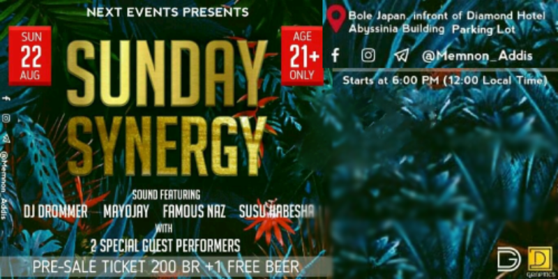 SUNDEY SYNERGY